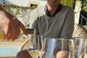 From Sitges: Wine Tasting at 2 Wineries with Hotel Pickup