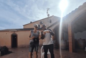 From Sitges: Wine Tasting at 2 Wineries with Hotel Pickup