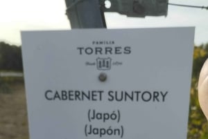 From Sitges: Wine Tasting at 2 Wineries with Hotel Pickup