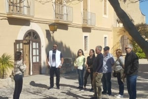 From Sitges: Wine Tasting at 2 Wineries with Hotel Pickup