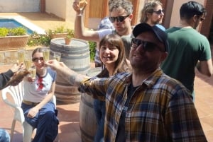 From Sitges: Wine Tasting at 2 Wineries with Hotel Pickup