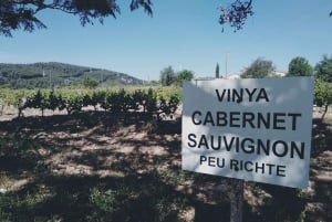 From Sitges: Wine Tasting at 2 Wineries with Hotel Pickup