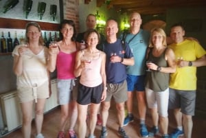 2 Wineries: Sitges Wine Tour with Hotel Pick-up