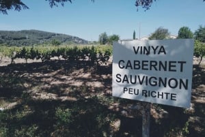 2 Wineries: Sitges Wine Tour with Hotel Pick-up