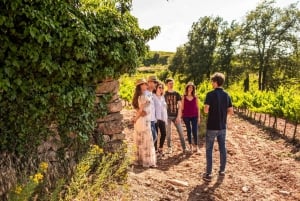 Barcelona: Excursión de un día a Montserrat con comida y cata de vinos