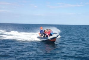Barcelona: Hochgeschwindigkeits-Powerboatfahrt und Sightseeing-Tour