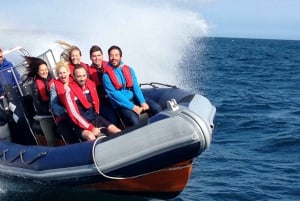 Barcelona: High Speed Powerboat Ride and Sightseeing Tour