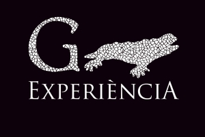 Gaudí Experiència Barcelona Pääsylippu