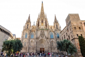 Gotische wijk & El Born privétour: Oorsprong van Barcelona
