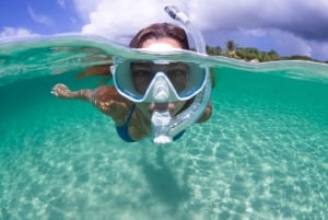 Snorkel guiado na praia de Barcelona