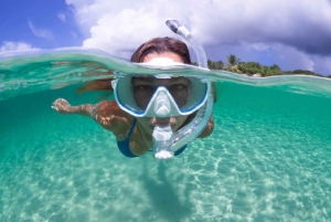 Подводное плавание с гидом на пляже Барселоны