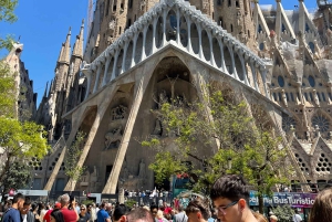 Tour guidato della Sagrada Familia - Il sogno di Gaudí