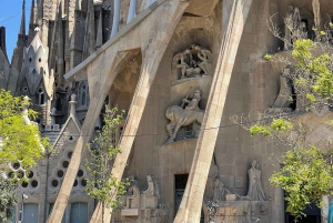 Tour guidato della Sagrada Familia - Il sogno di Gaudí