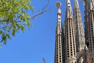 Tour guidato della Sagrada Familia - Il sogno di Gaudí