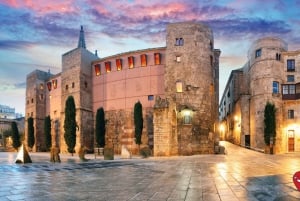 Visite guidée de l'histoire et des légendes : Quartier gothique de Barcelone