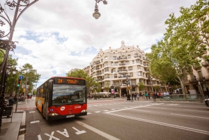 Barcelona: Hola Barcelona Public Transport Travel Card