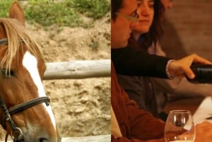 Horseback Riding Tour and Wine Tasting in Penedés