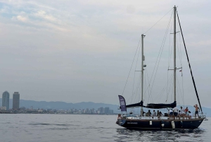 Excursion en voilier de luxe et exclusive avec service privé