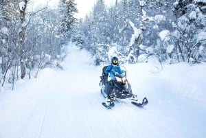 Luxury Tour Andorra with snow driving course from Barcelona