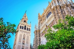 Madrid: 5-dagars rundtur i Andalusien och Toledo