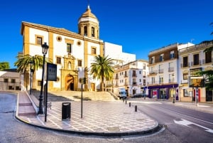 Madrid: 5-dagars rundtur i Andalusien och Toledo