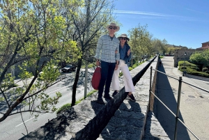 Madrid : Tour Toledo y Segovia, 8 destinos imprescindibles