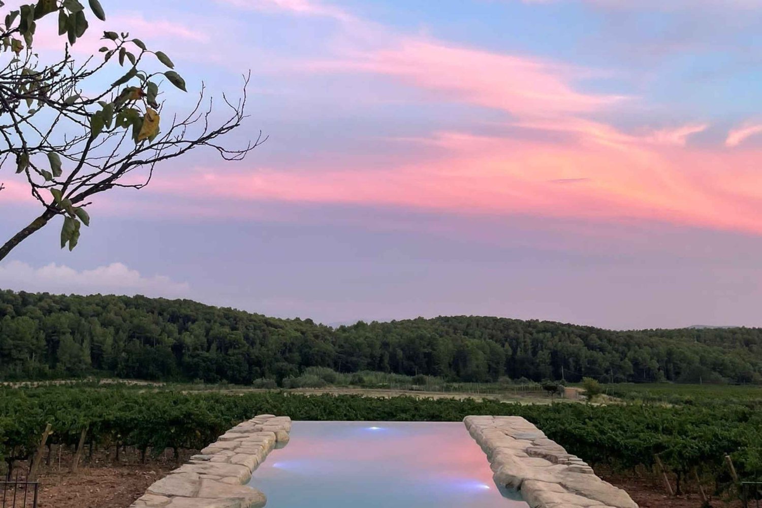 MONTRUBÍ: visita guiada pelas vinhas e adega, degustação de 4 vinhos com aperitivos.
