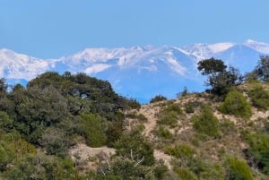 Montserrat: 6-Hour Tour with a Choice of 3 Levels of Hiking