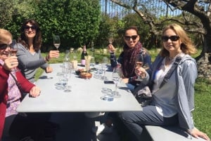 Excursión de un día a Montserrat y Bodegas del Cava desde Barcelona con servicio de recogida