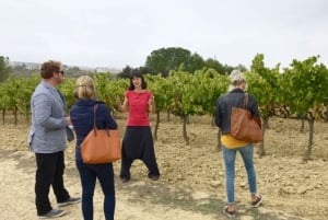 Excursão às vinícolas de Montserrat e Cava: Viagem de um dia saindo de Barcelona