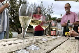 Wycieczka do winiarni Montserrat i Cava: Jednodniowa wycieczka z Barcelony