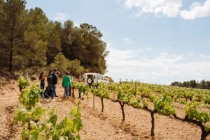 Tur til Montserrat og Cava-vingården: Dagstur fra Barcelona