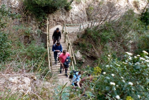 Montserrat Hike, Wine Tasting and Tapas from Barcelona