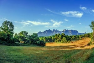 Montserrat: Tour privato di mezza giornata da Barcellona