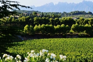Montserrat: Tour privato di mezza giornata da Barcellona