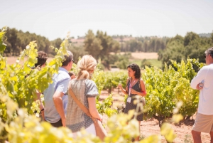 From Barcelona: Montserrat Half-Day Wine and Tapas Trip