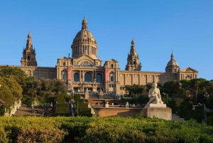 Barcelona: Museu Nacional d'Art de Catalunya Entrance Ticket