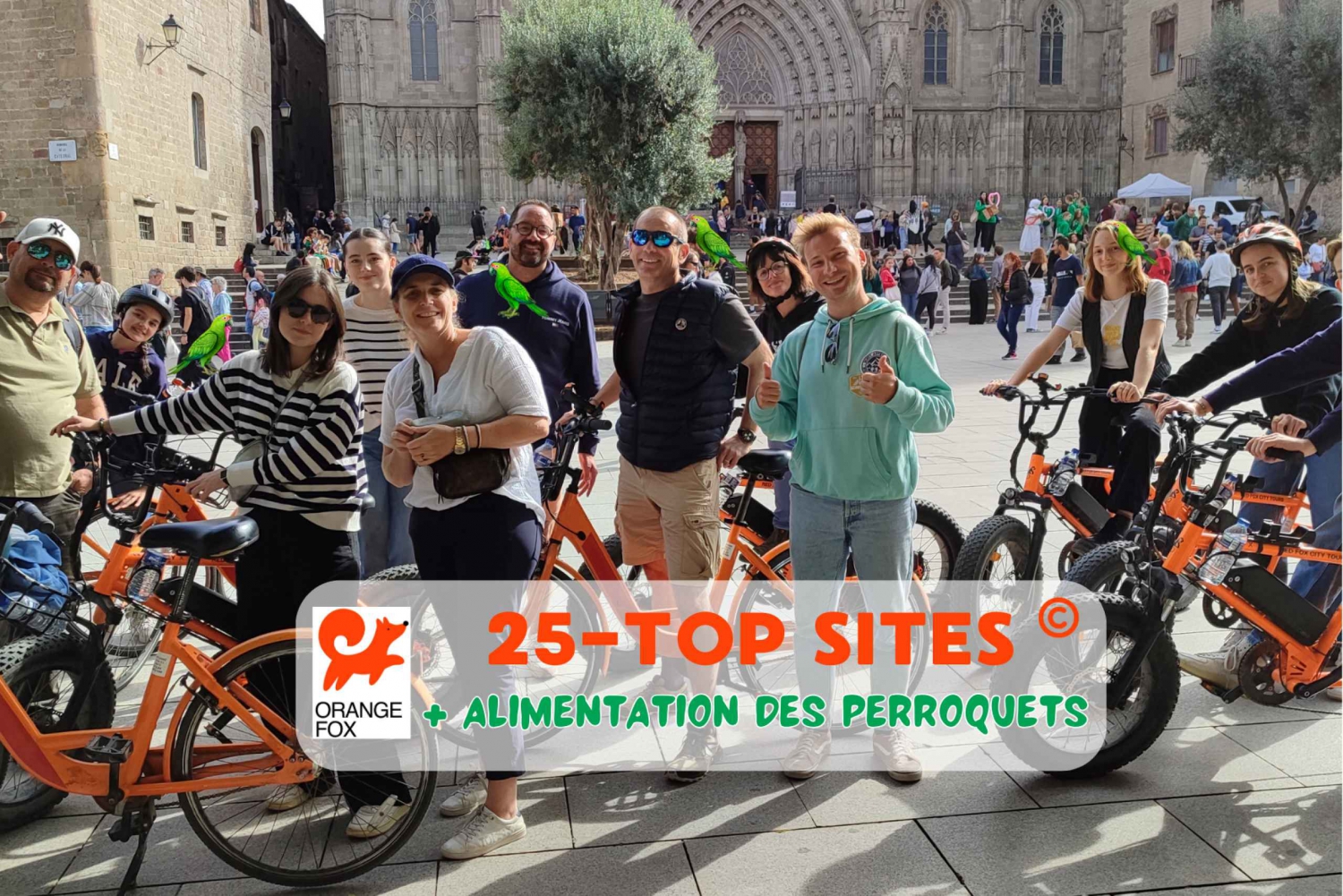 Barcelona Tour💕 med fransk guide 25-тop platser, cykel/ebike