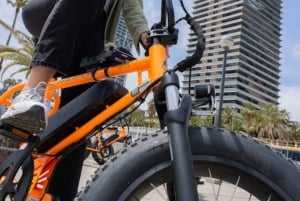Barcellona: I 20 punti salienti della città Tour guidato in scooter o bici elettriche