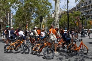 Barcelona Tour💕 with French guide 25-тop sites, bike/ebike