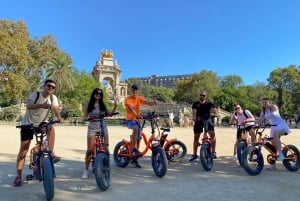 Barcelona: 25-TOP Tour saksalainen paikallinen opas, pyörä/eBike
