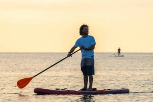 Barcelona: Paddlesurf-utleie Barceloneta-stranden (75 min)