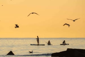 Barcelona: Paddlesurf-utleie Barceloneta-stranden (75 min)