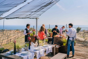 Barcelona: Winery, Paella Cooking Class & Sailing Day Trip