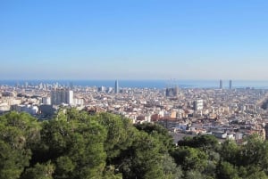 Barcelona: Park Güell rondleiding & toegang met voorrang