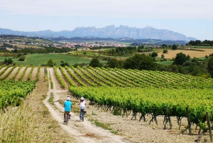 Penedès/BCN: Self-Guided eBike Tour with guided Winery Visit