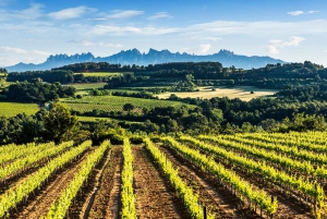 Penedès/BCN: Self-Guided eBike Tour with guided Winery Visit
