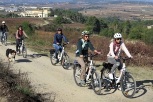 Penedès/BCN: Self-Guided eBike Tour with guided Winery Visit