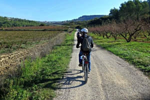 Penedès/BCN: Self-Guided eBike Tour with guided Winery Visit