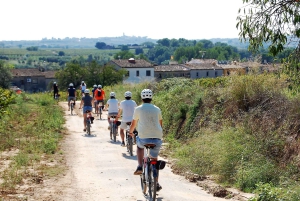 Penedès/BCN: Self-Guided eBike Tour with guided Winery Visit